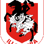 St. George Illawarra.png